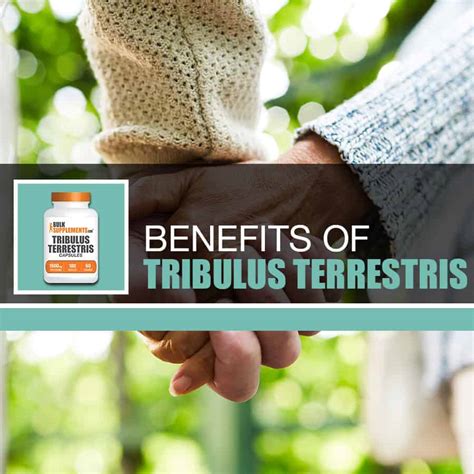 Tribulus Terrestris Extract Capsules: Benefits, Side Effects and Dosages