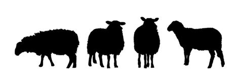 Fluffy Sheep Silhouette