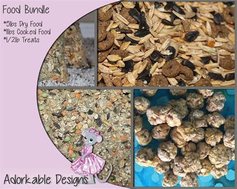 Rodent Diet Bundle of All the Foods Rat Diet Rat Treats Rat | Etsy