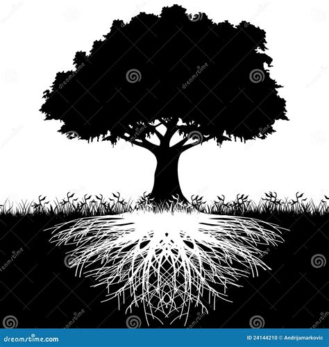 Tree Roots Royalty-Free Stock Photo | CartoonDealer.com #3699393