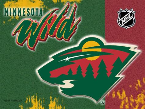 Pinterest | Minnesota wild hockey, Minnesota wild, Wild hockey