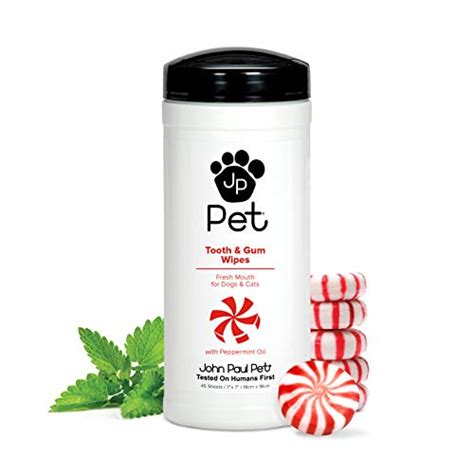 Best Dog Teeth Cleaning Products Reviews – The Hunting Dog