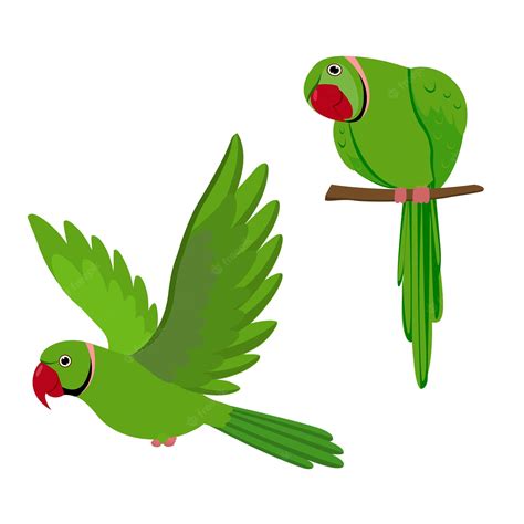 Green Parrot Cartoon Images