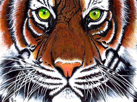 Acrylic Paintings Of Tigers