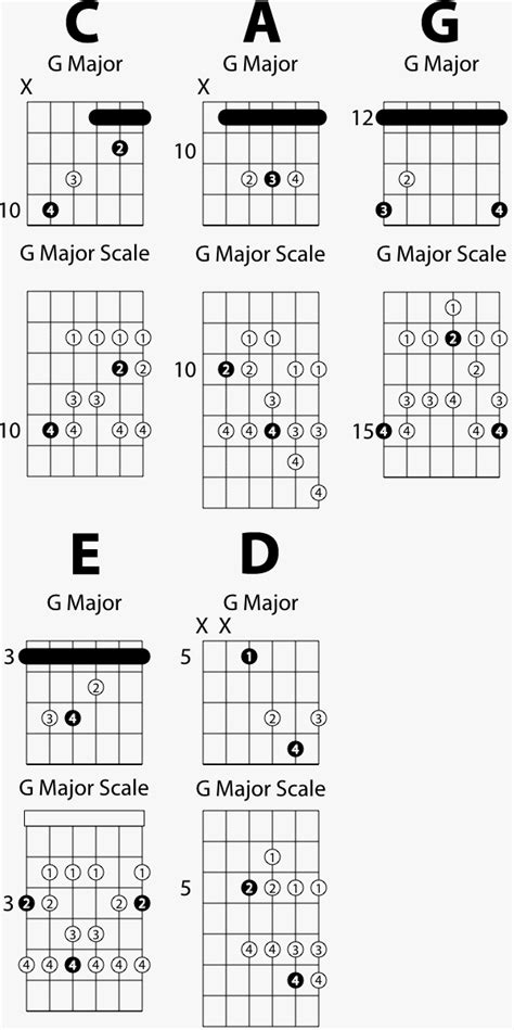 » CAGED Major Scale Sequence