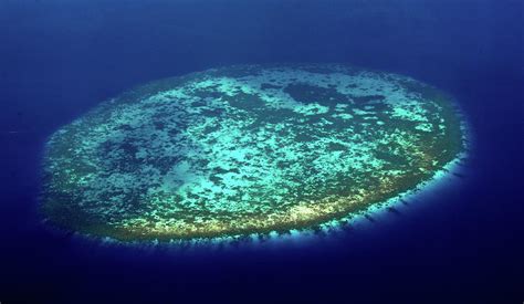 Aerial View of Rounded Coral Reef. Maldives Photograph by Jenny Rainbow | Fine Art America