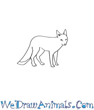 How to Draw a Swift Fox