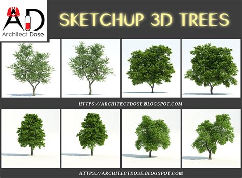 SKETCHUP 3D TREES :: Behance