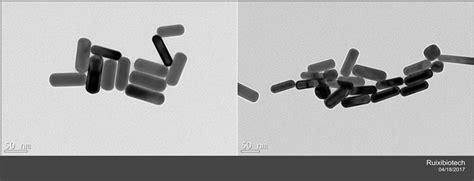 Gold Nanorods - Ruixibiotech