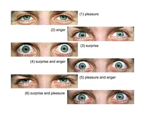 Eye Expressions by Science Photo Library