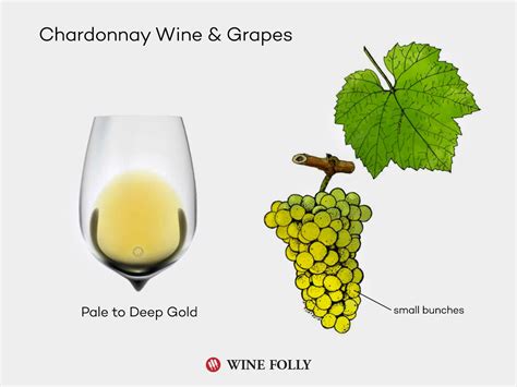 The Comprehensive Guide to Chardonnay | Wine Folly