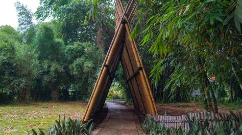 茂物植物园（Kebun Raya Bogor）门票 - Klook客路