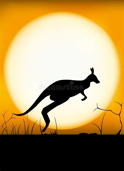 Kangaroo sunset stock illustration. Illustration of beautiful - 22228351