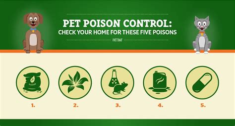 Pet Poison Prevention Infographic | Pet poison prevention, Pet poison, Poison prevention