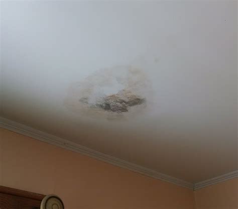 How To Get Rid Of Mildew In Bathroom Ceiling | Homeminimalisite.com