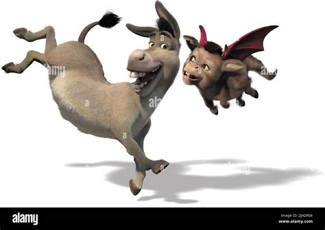 Donkey And Dragon Shrek