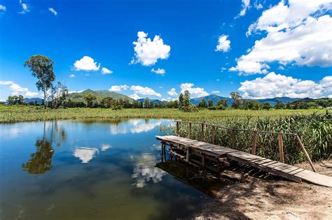 Hong Kong Wetland Park - New Territories Attractions - Go Guides