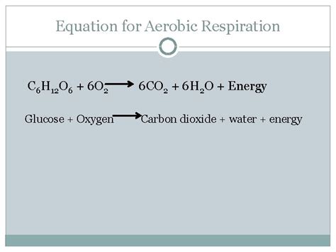 Stunning Balanced Chemical Equation For Anaerobic Respiration Nv Sir ...