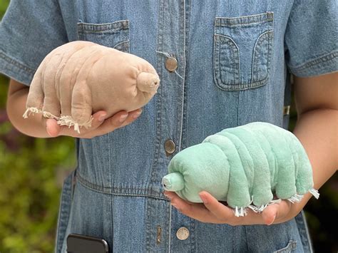 Tardigrade/water Bear Handmade Plushie - Etsy