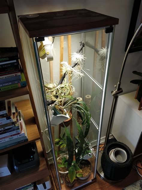 Ikea Greenhouse Cabinet 2: Detolf Edition – House Plant Journal