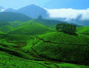 3 Days / 2 Nights in Munnar | No.1 Holiday and Tour Provider in Kerala for Tour package for ...