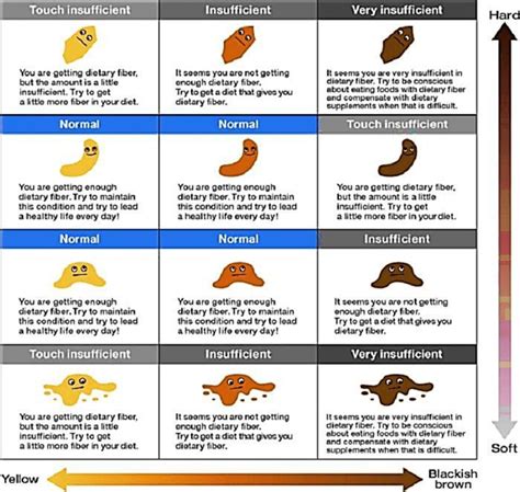 12+ Free Printable Stool Color Charts