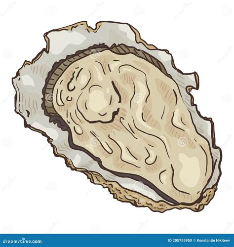 Vector Cartoon Oyster Isolated Illustration Stock Vector - Illustration ...