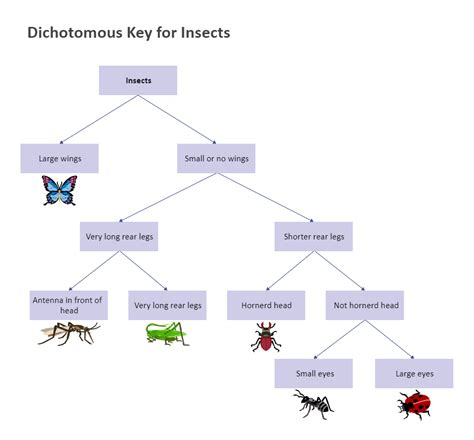 Arthropods Characteristics Chart