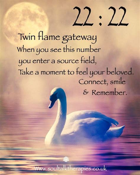 2228 Angel Number Twin Flame - Goimages Talk