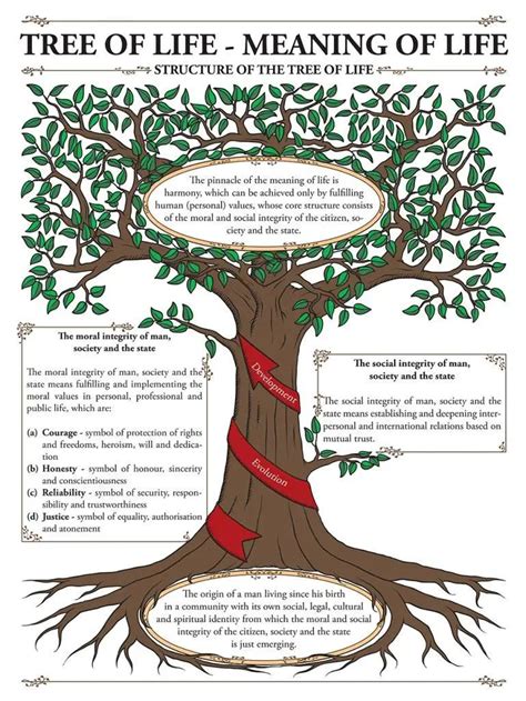 What Does The Tree Of Life Mean (2024) Meaning, Symbol, Bible