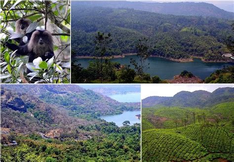 Valparai - Unexplored wonder! - Travel Twosome