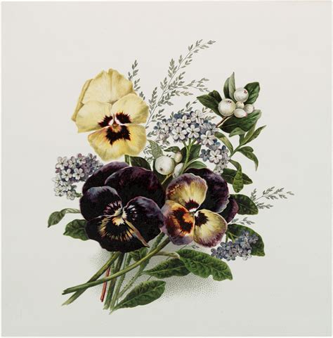 Antique Pansy Bouquet Image! - The Graphics Fairy