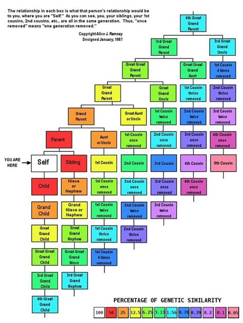 DNA For Beginners – Resources and Links for Research | Douglas County Historical Society, MN