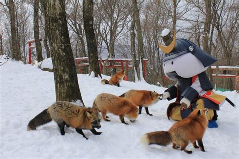 Fox Village - The Magical Place in Japan