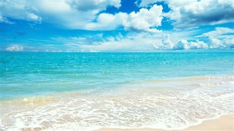 🔥 [69+] Summer Beach Wallpapers | WallpaperSafari