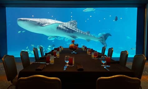 Event Venues In Atlanta Georgia | Georgia Aquarium