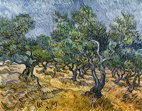 Olive Tree Paintings Van Gogh ~ Gogh Van Vincent Olive Grove Painting Paintings ...