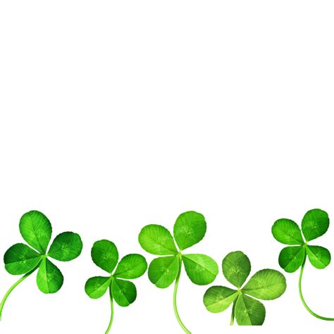 Four-leaf clover Clip art - Clover png download - 1024*1024 - Free Transparent Fourleaf Clover ...