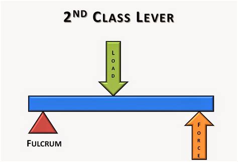 Lever Schematic Osrs In A First-class Lever, The Fulcrum Is