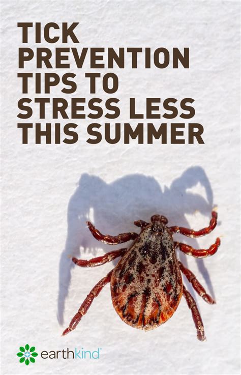 Tick Prevention Tips to Stress Less this Summer | Earthkind