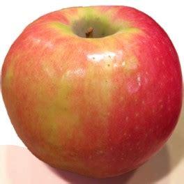 Cripps Pink Apple