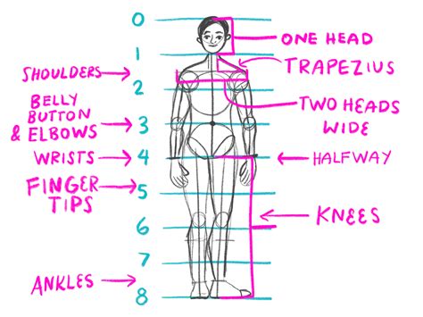 How To Draw Proportional Bodies - Cloudanybody1