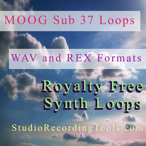 Moog Sub 37 Royalty Free Synth Loops WAV and REX Formats – StudioRecordingTools.com – Wav ...