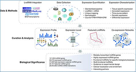 LncExpDB – an expression database of human long non-coding RNAs ...