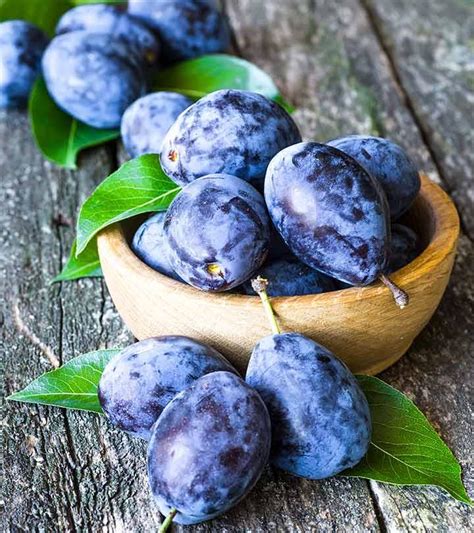 Plum Benefits For Skin - Plum has made the process of making available the best possible health ...