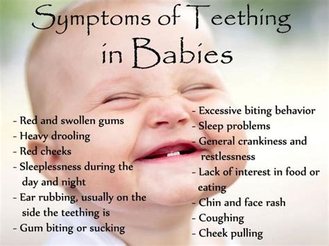 Symptoms Of Teething In Babies | Baby teeth, Teething symptoms, Rash on face