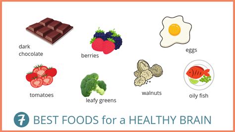 Best Foods for a Healthy Brain – Wendys Way To Health