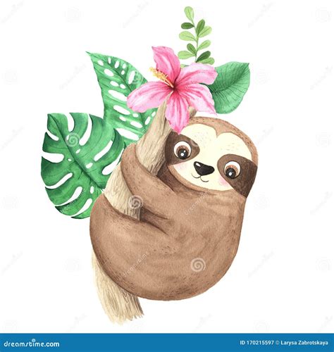 Watercolor Hand Painted Cute Sloth Hanging on the Tree Stock Illustration - Illustration of lazy ...