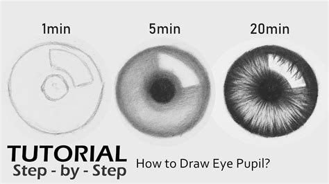 How To Draw A Pupil