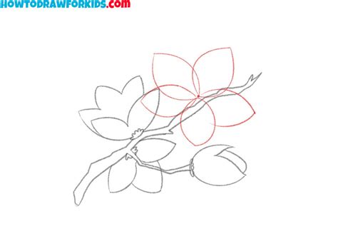 How to Draw a Cherry Blossom - Easy Drawing Tutorial For Kids